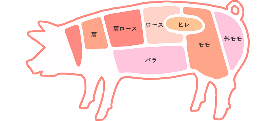 豚の部位